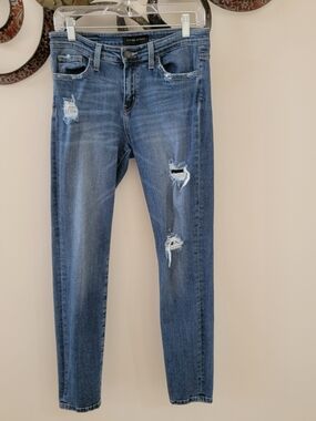 Flying Monkey Blue Distressed Skinny Jeans